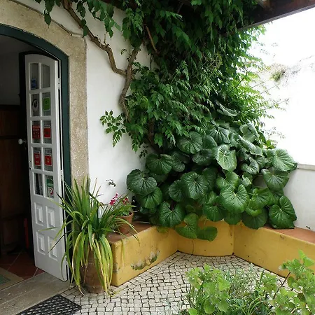 Casa De S. Thiago Do Castelo Gæstehus Óbidos